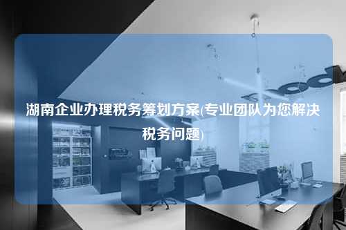 湖南企业办理税务筹划方案(专业团队为您解决税务问题)  第1张